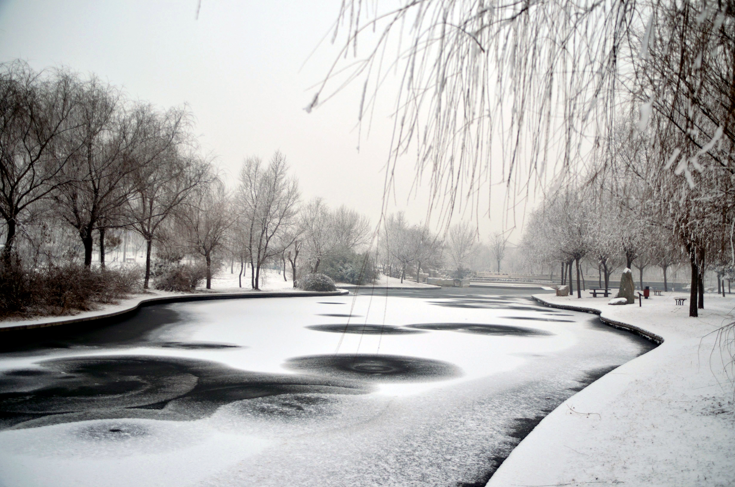 yjc_1052ѩ.JPG
