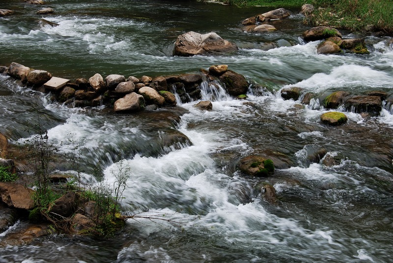 DSC_6734.jpg