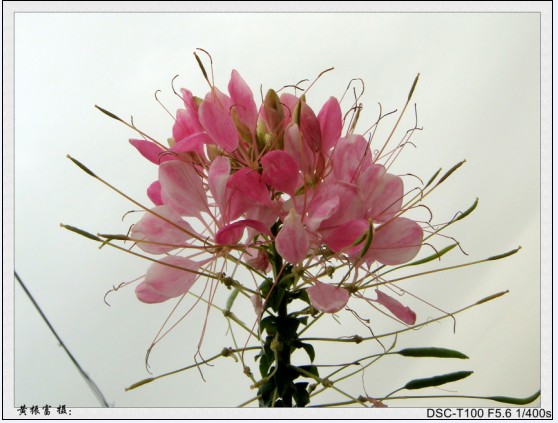 QLZHU2@USQFIXY37@XM)`0E.jpg