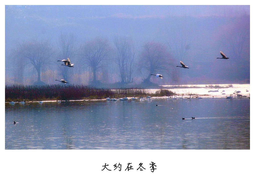 2013 (198)__.jpg