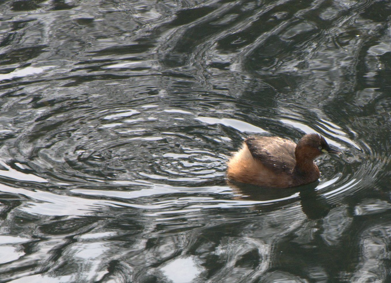 DSC_0120.jpg