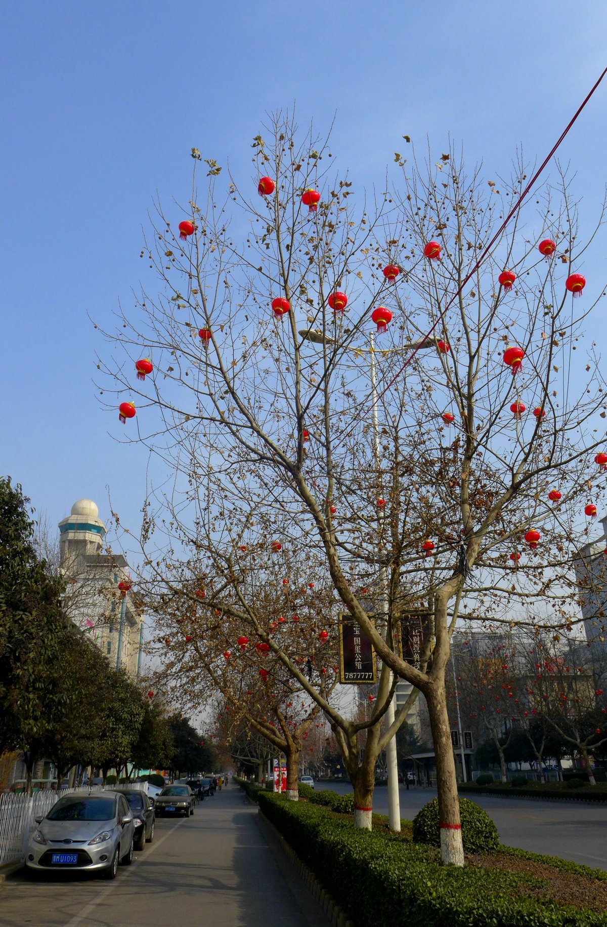 L1010987.jpg