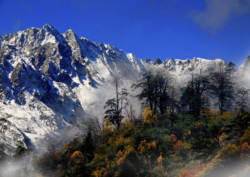 DSC_6411mnpomx.jpg