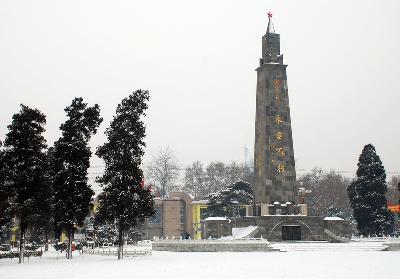 DSC_5995.jpg
