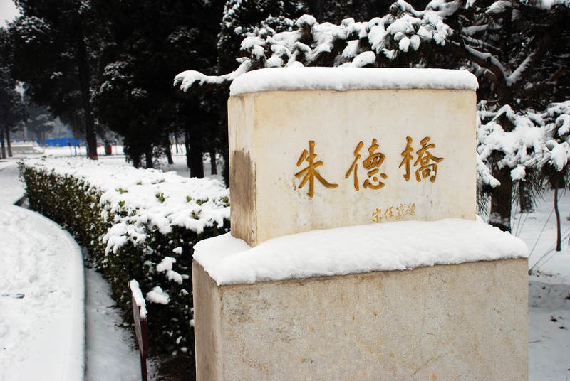 DSC_6002.jpg