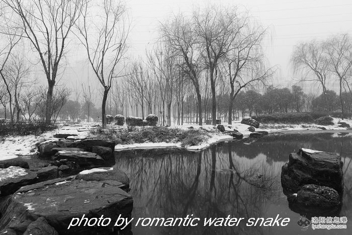 6_71842_8a9b78e2337cd37.jpg