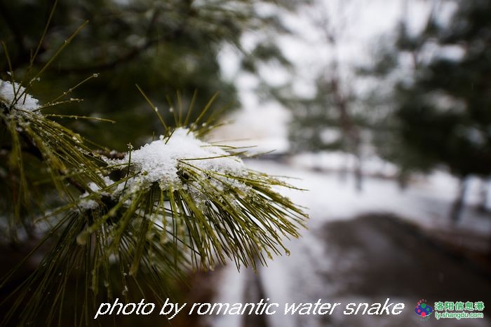 6_71842_42b7727bdf11f89.jpg