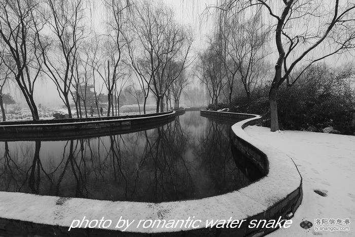 6_71842_46e12185c401e5e.jpg