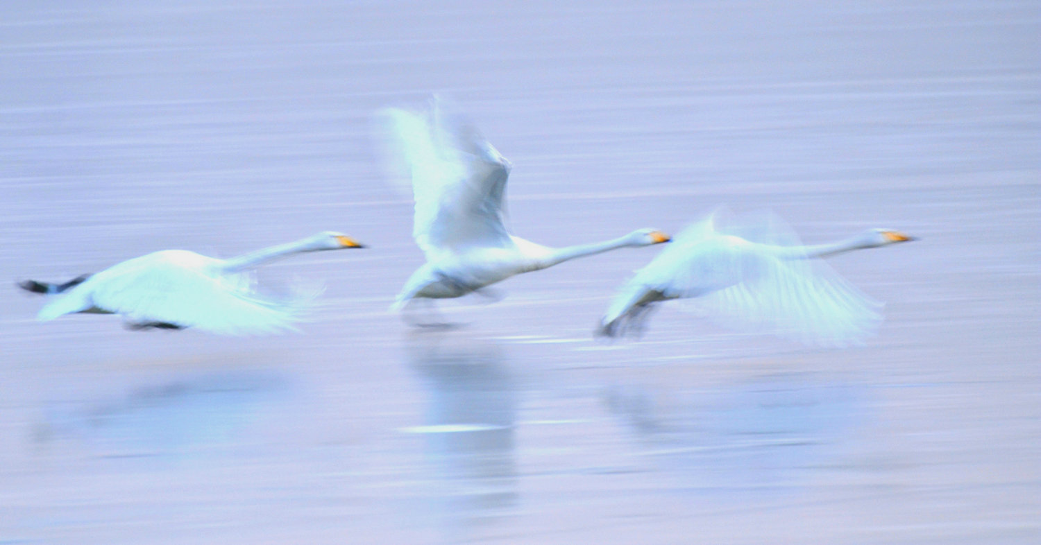 DSC_3769_.jpg