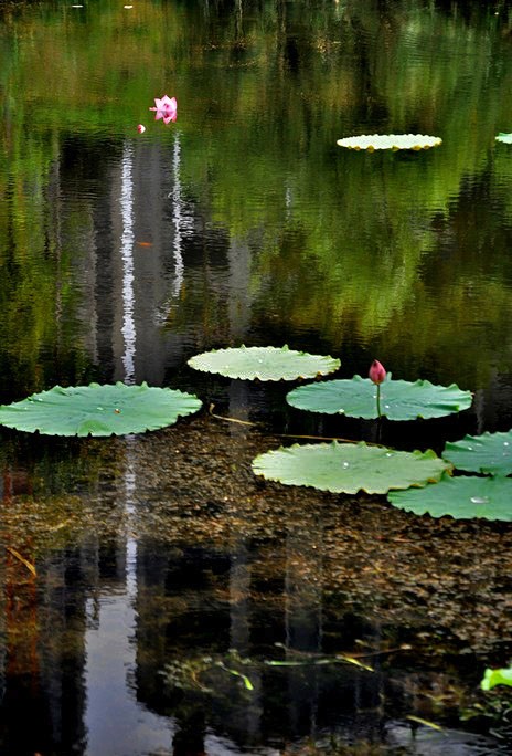 DSC_0260.JPG