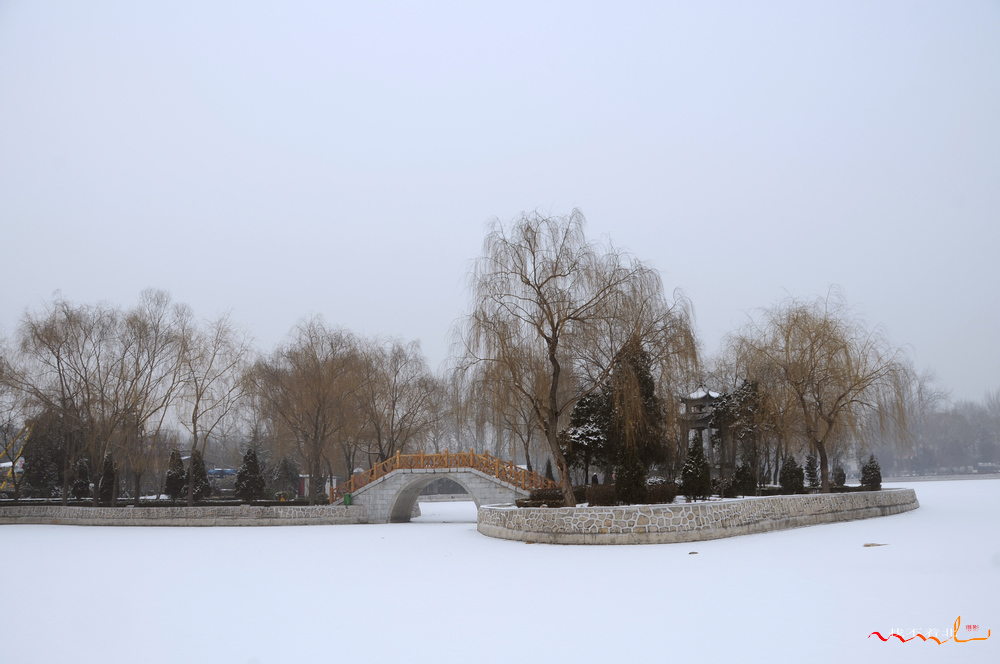 _DSC3942.jpg