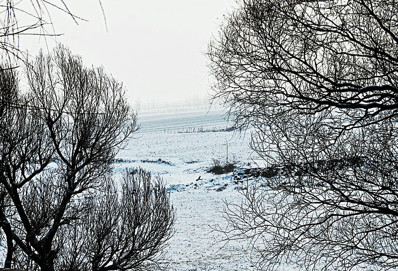 DSC_1526.jpg
