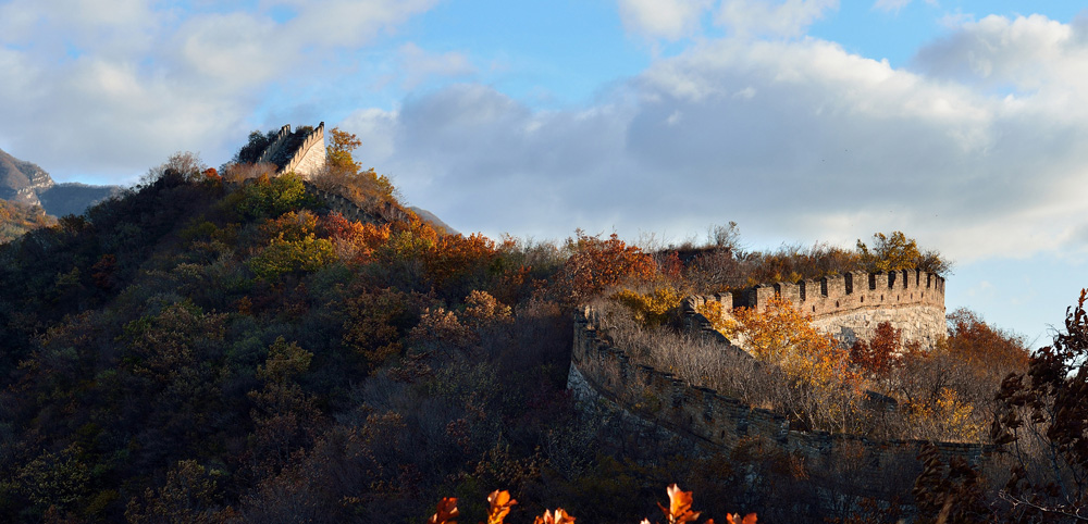 DSC_1143.jpg