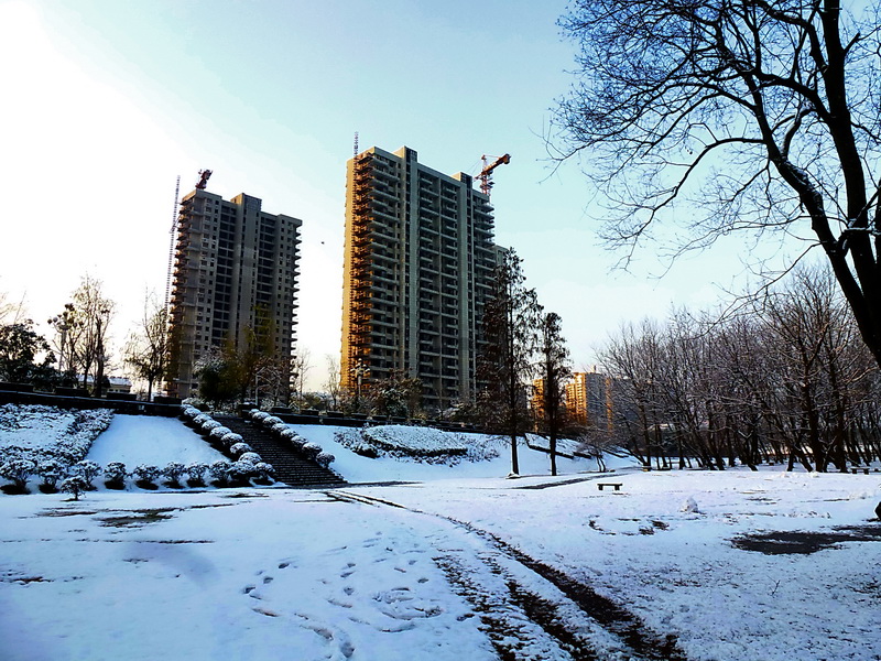 P1030606AB.jpg
