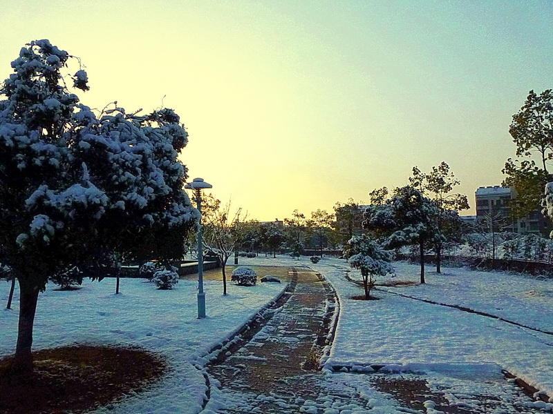 P1030615AB.jpg