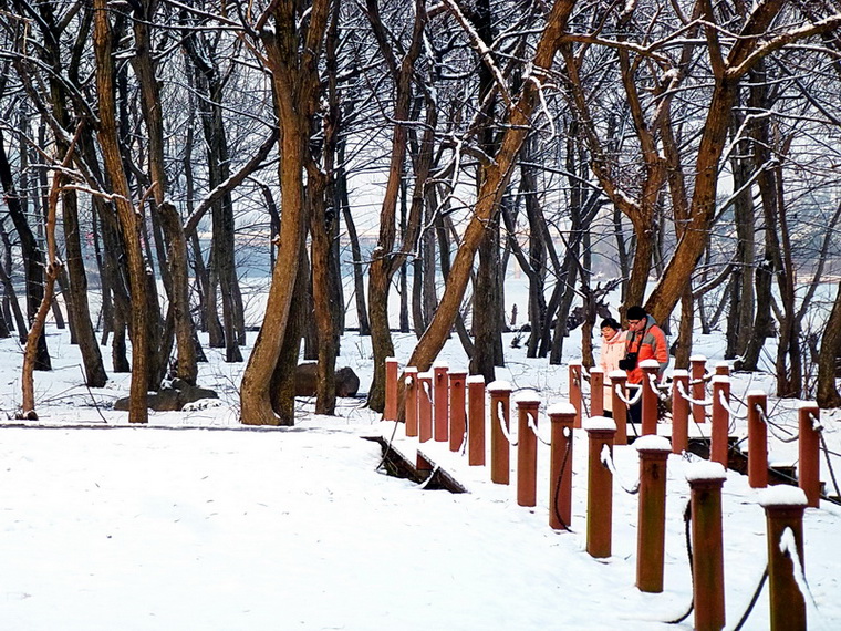 P1030607ABB.jpg