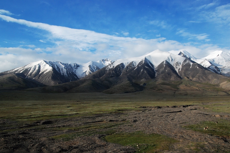 DSC_0304.jpg