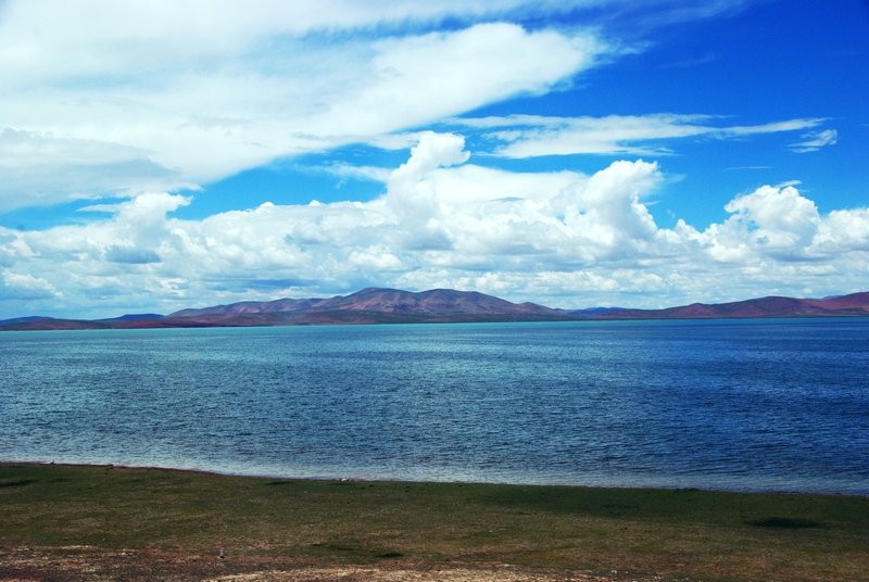 DSC_0333.jpg
