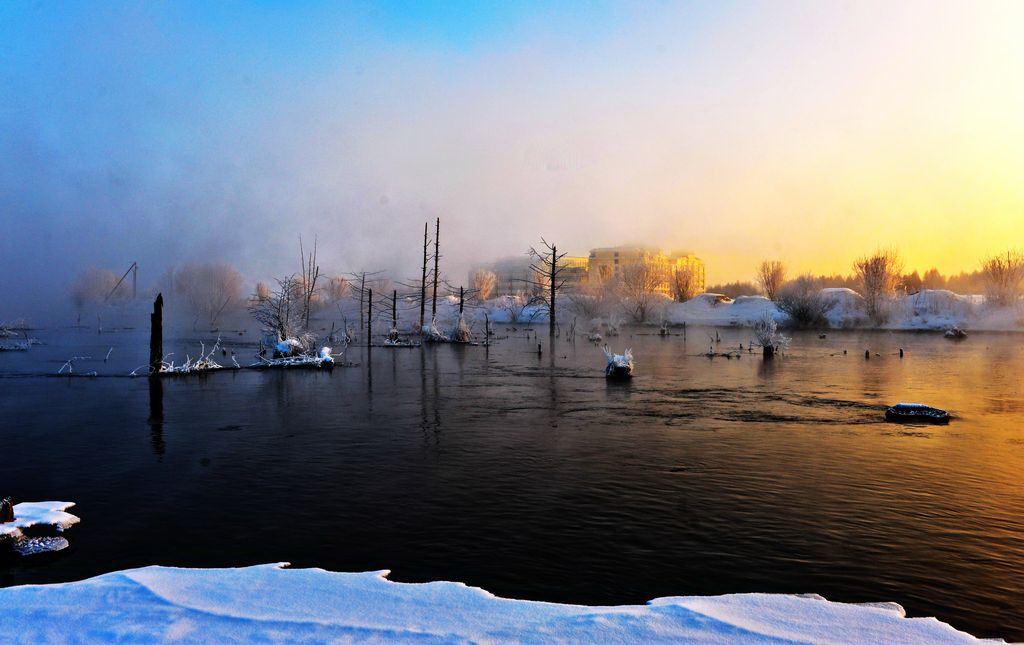 DSC_6620.jpg