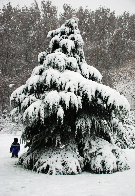 DSC_1413.jpg
