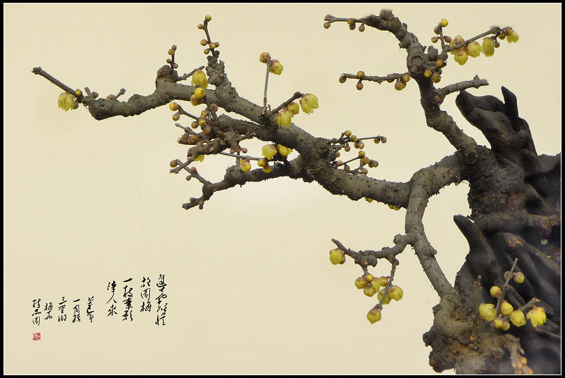 P1000632px.jpg