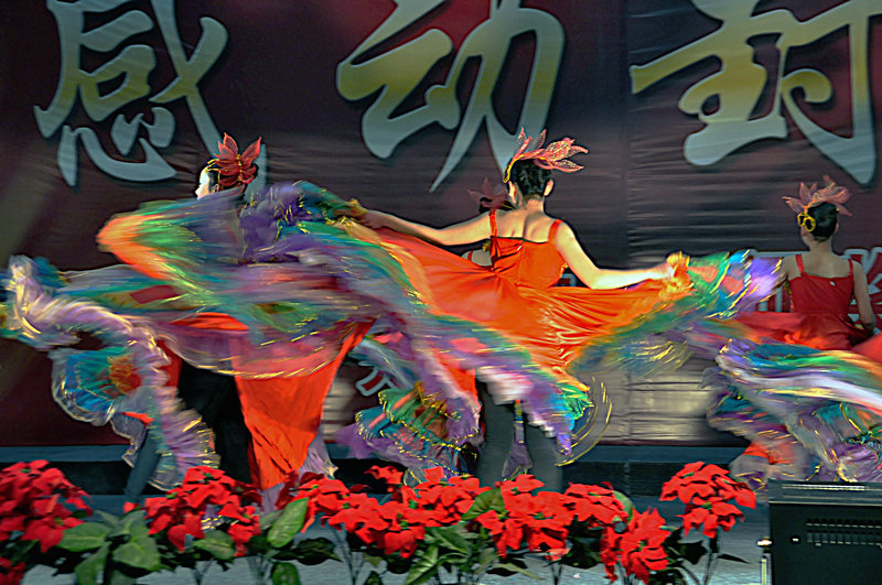DSC_4664.jpg