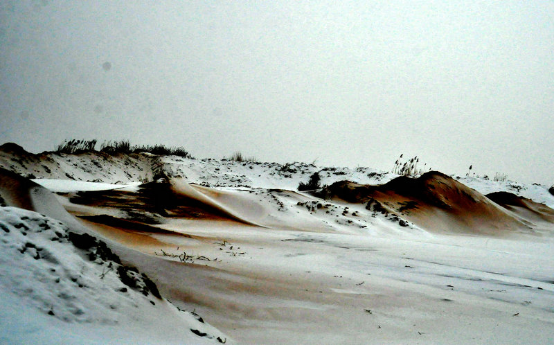 DSC_4559.jpg