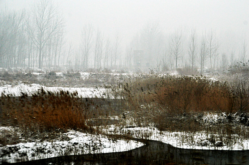 DSC_4533.jpg