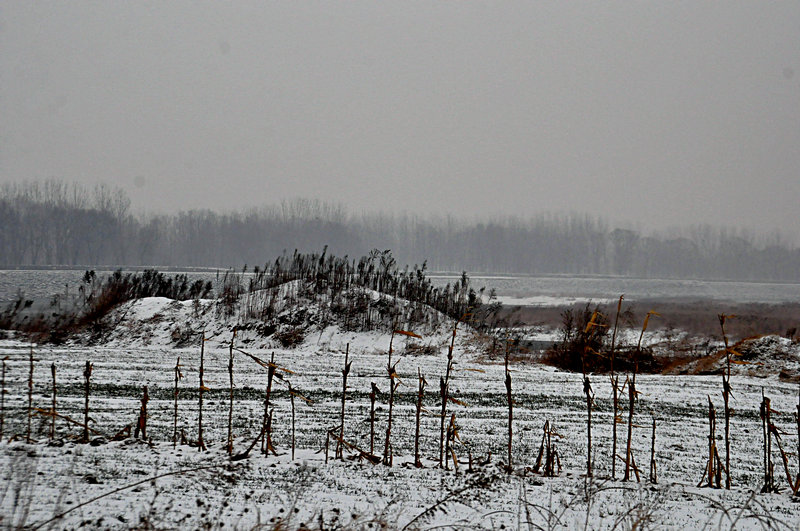 DSC_4566.jpg