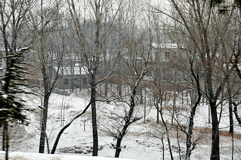 DSC_4577.jpg