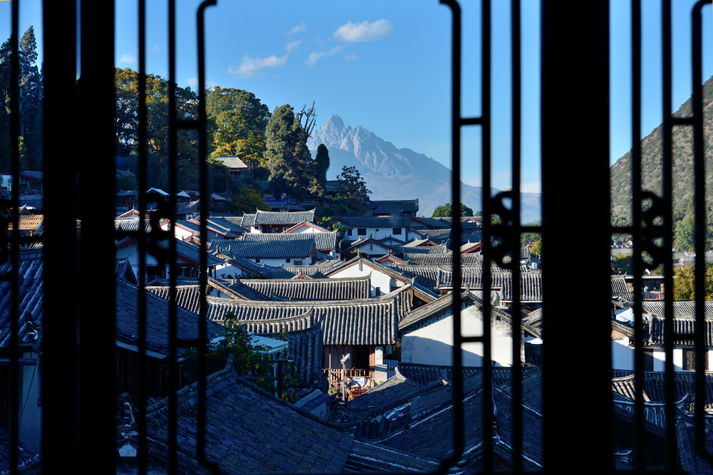 DSC_0262.jpg