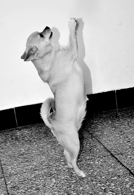 DSC_0297.JPG