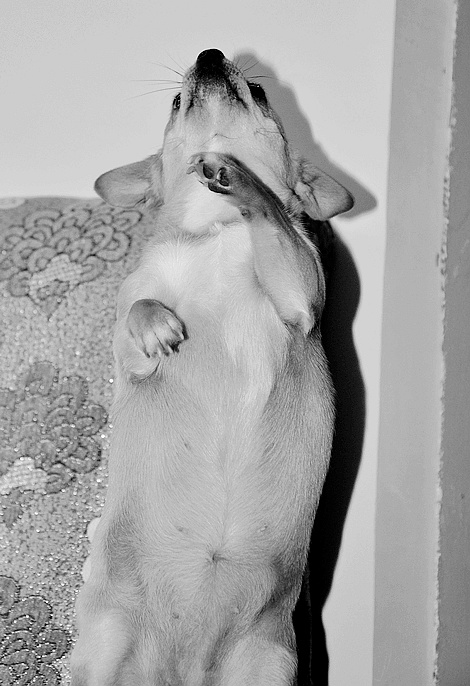 DSC_0309.JPG