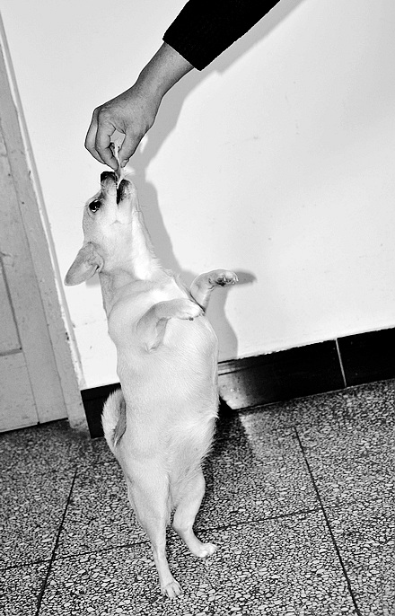 DSC_0301.JPG