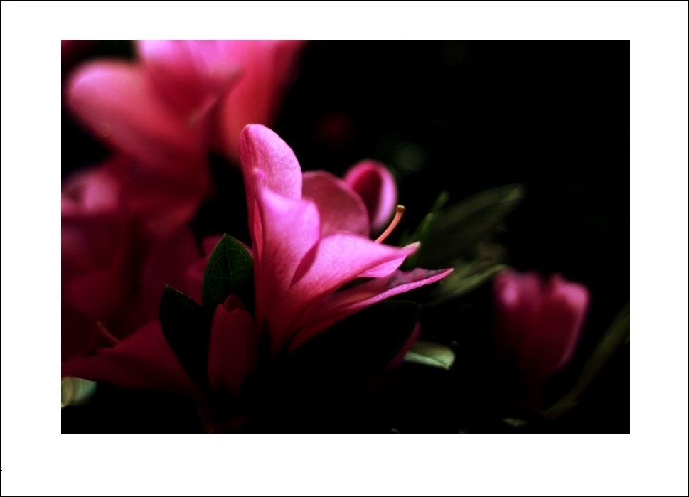 IMG_9415b.jpg