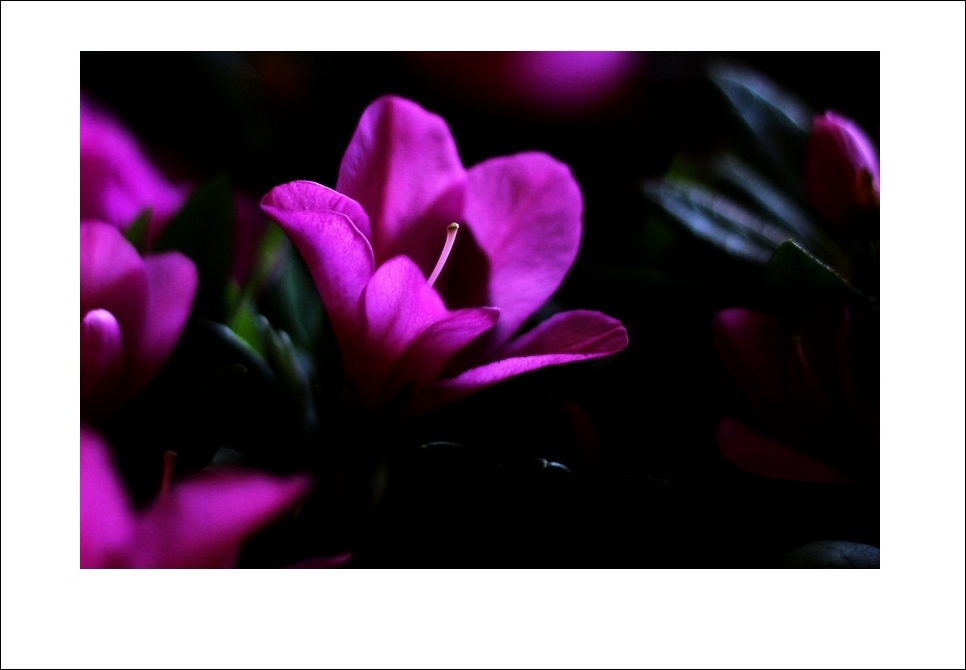 IMG_9416b.jpg