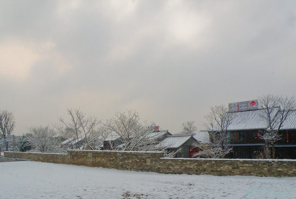P1280177-2_.jpg