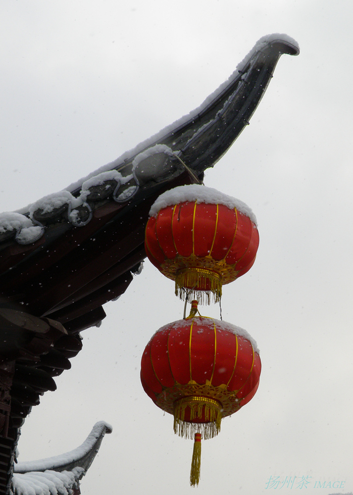 P1280185-2_.jpg