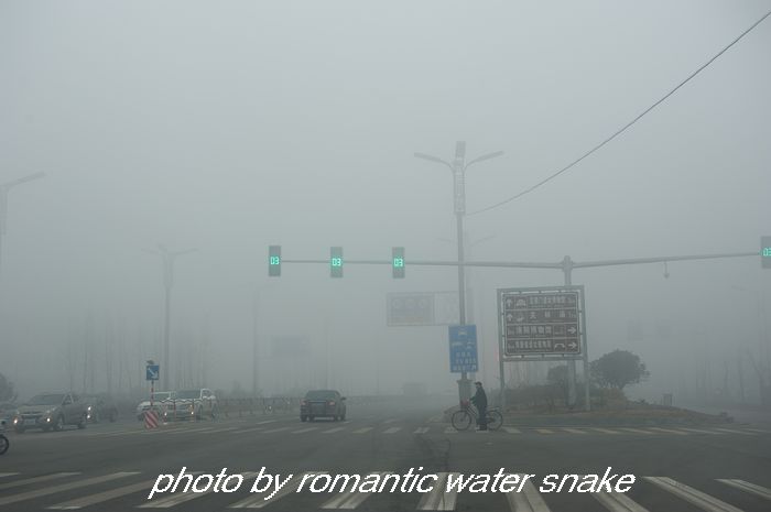 DSC_8641.jpg