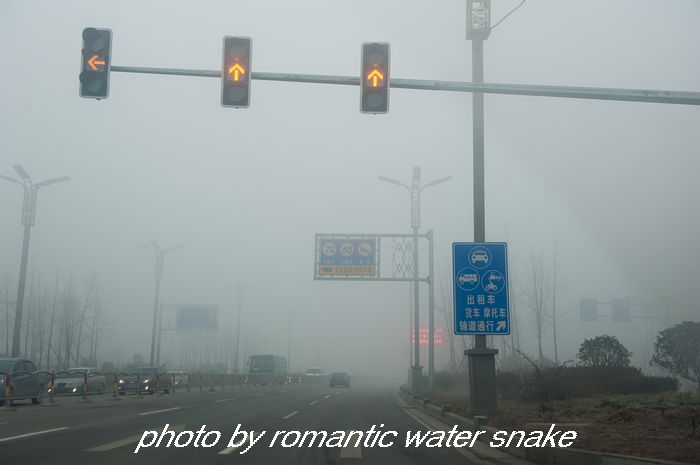 DSC_8642.jpg