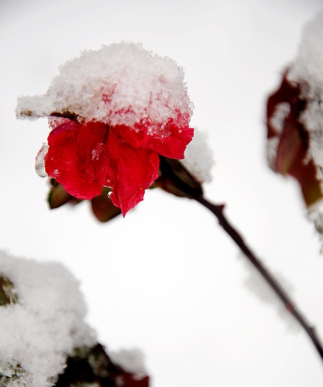 DSC_0038.JPG