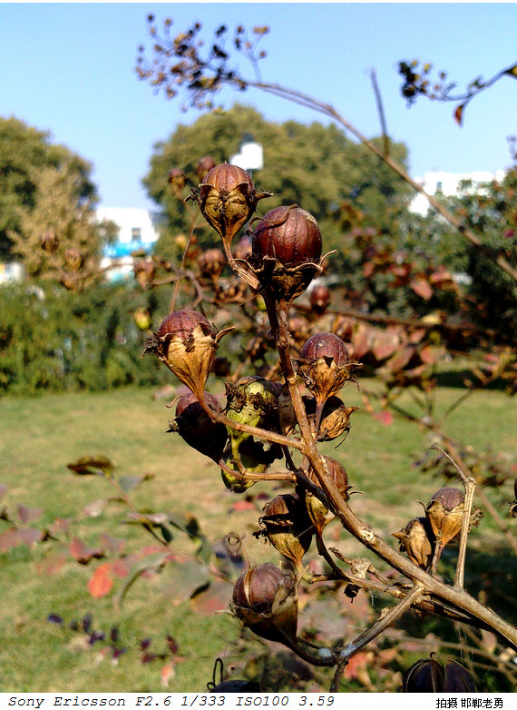 2012-11-01-11.jpg
