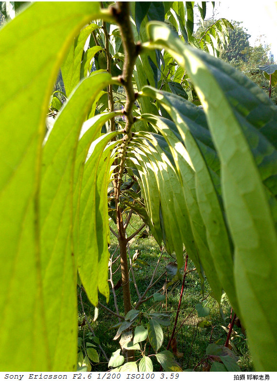 2012-11-01-16.jpg