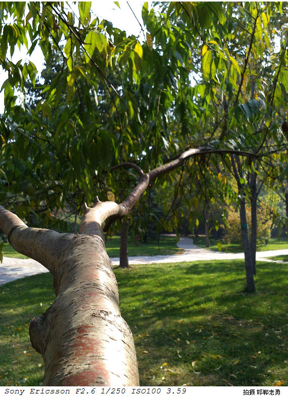 2012-11-01-21.jpg