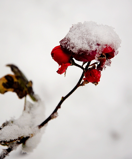 DSC_0048.JPG