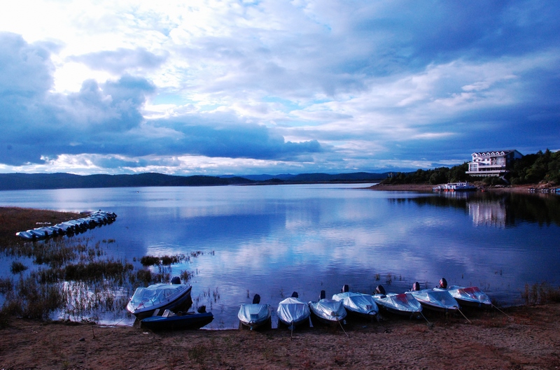 DSC_0324.jpg
