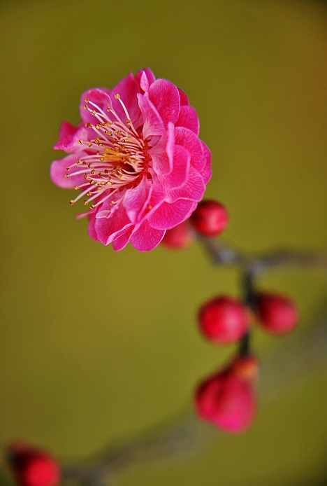DSC_0010.JPG
