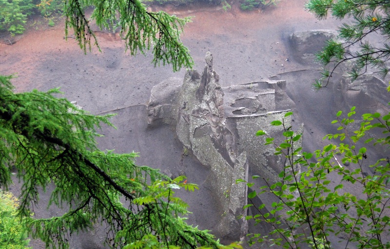 DSC_0099.jpg