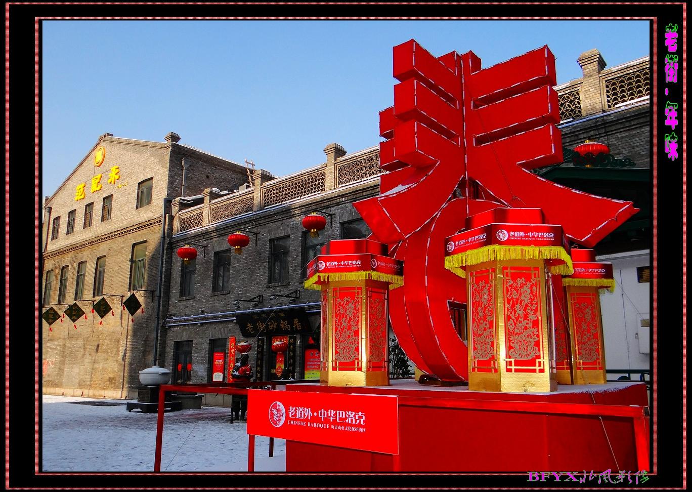 DSC02032_conew1.jpg