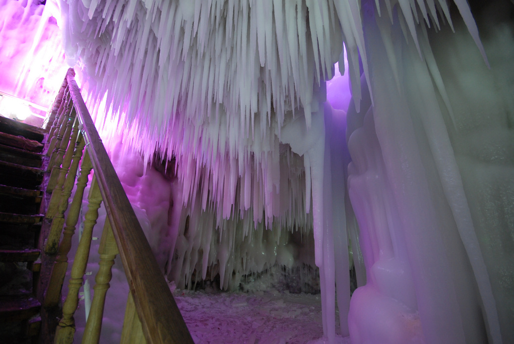 DSC_0349.jpg